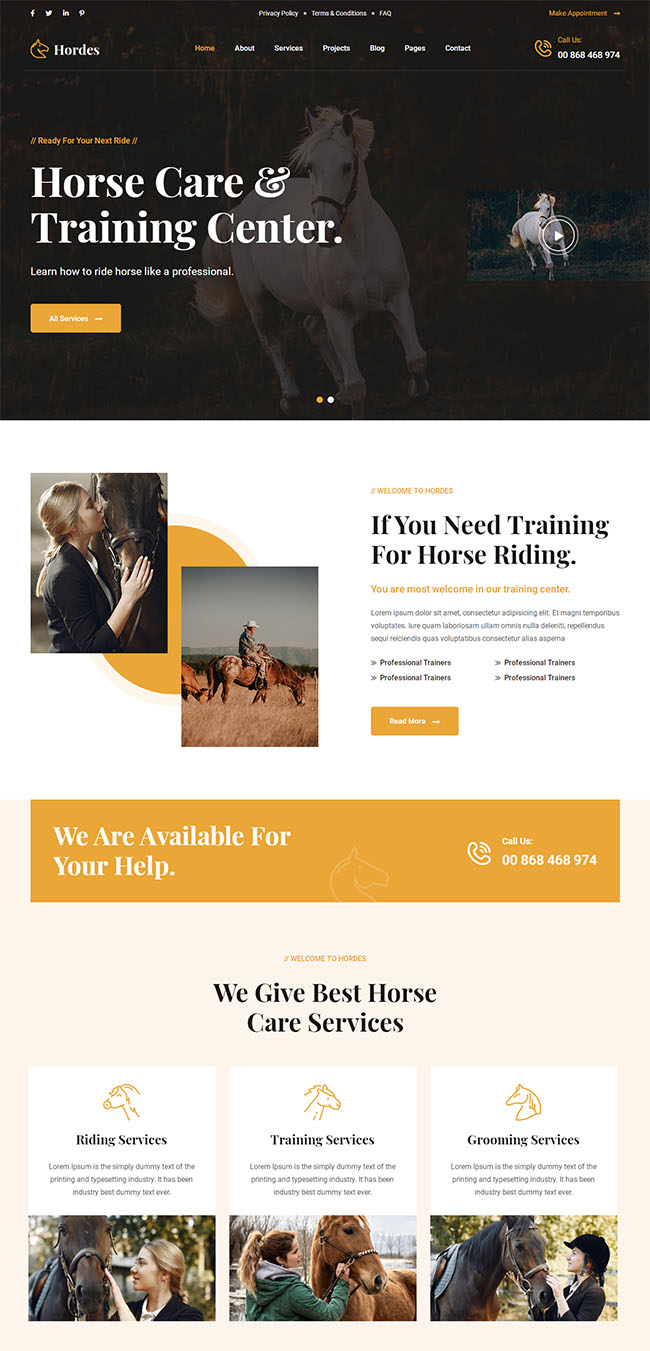 骑马训练牧场官网网站模板